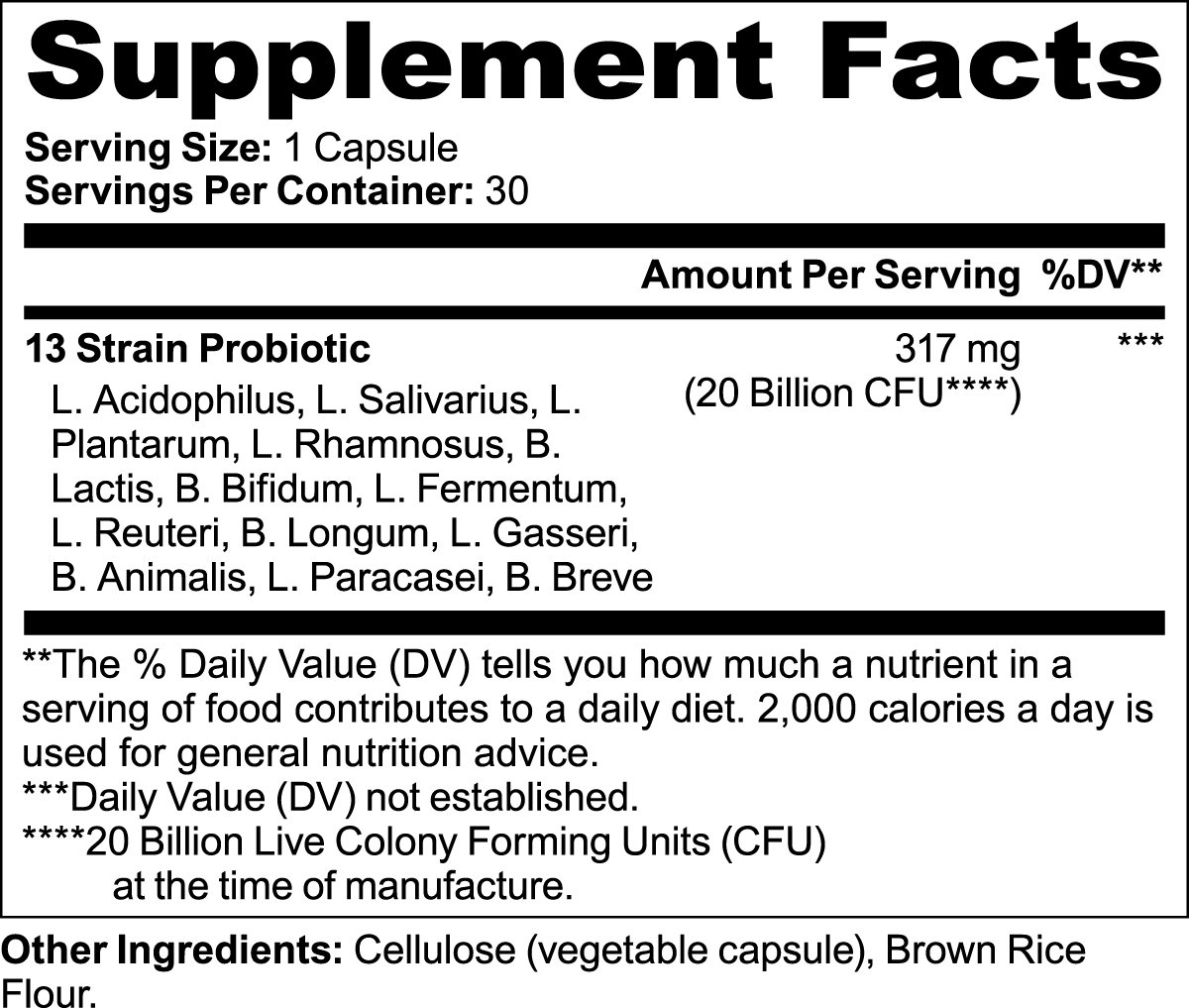 Active Plus Probiotic Support