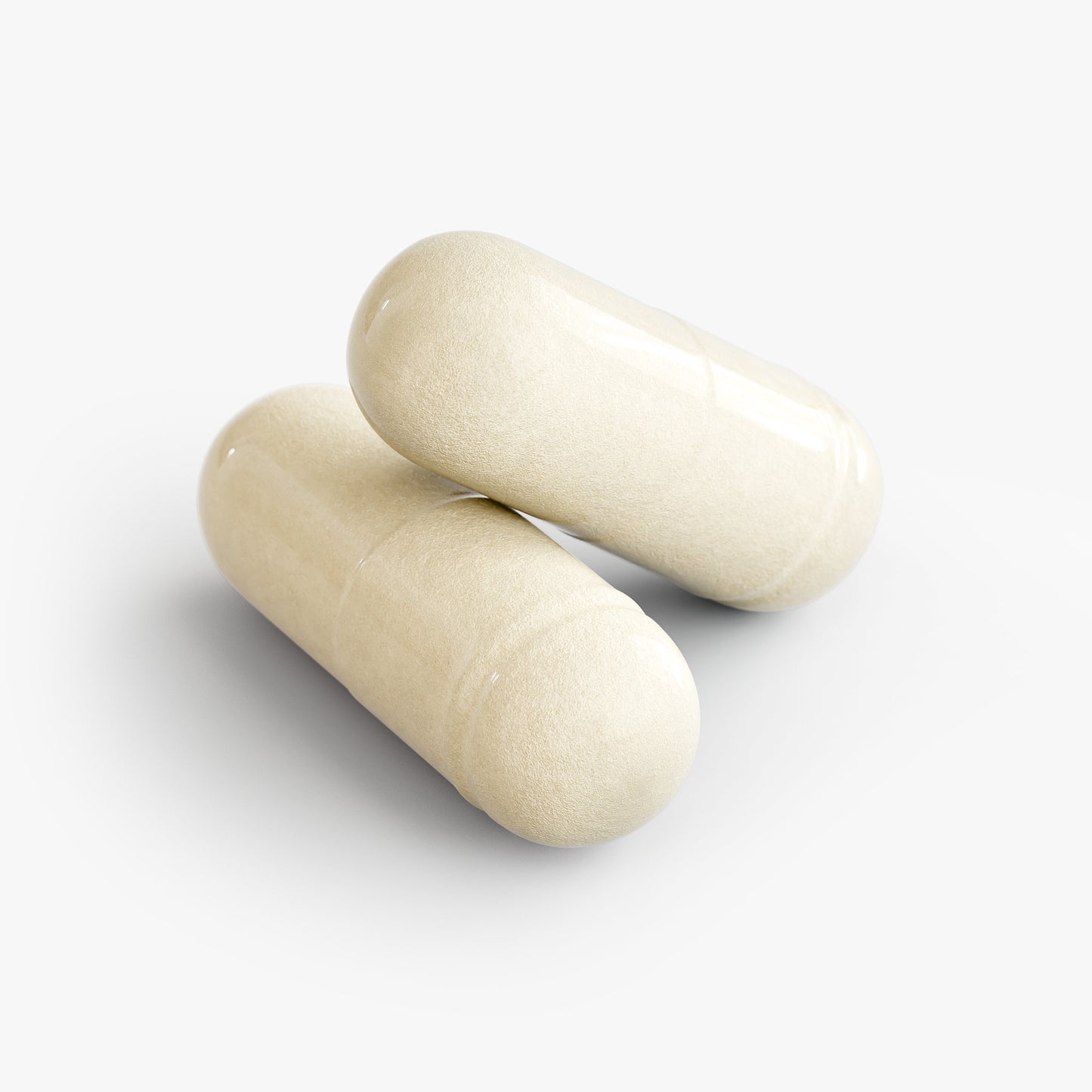 Active Plus Probiotic Support